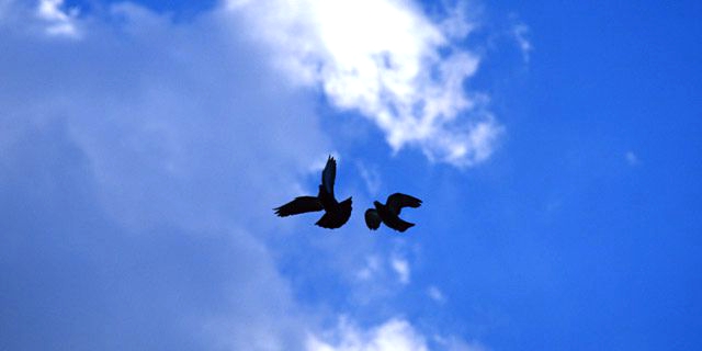 海外長期旅行で外国を知り、日本を知る
